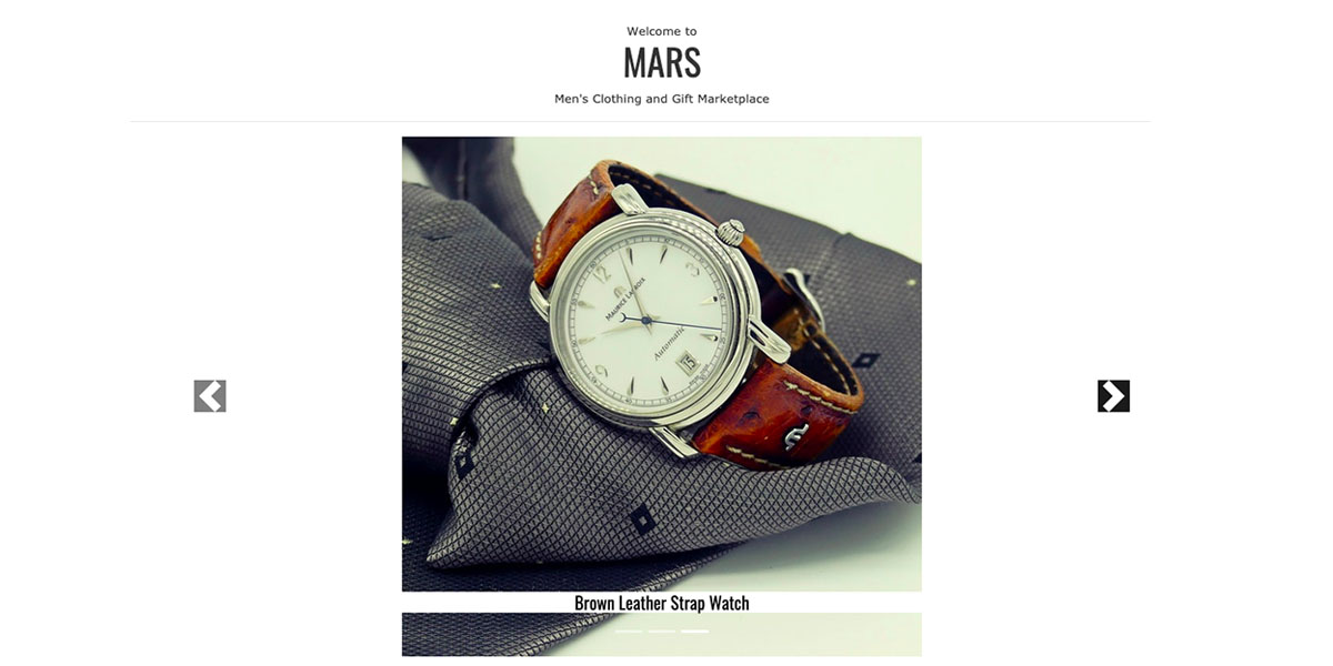 Matthew Primpas's Portfolio Project