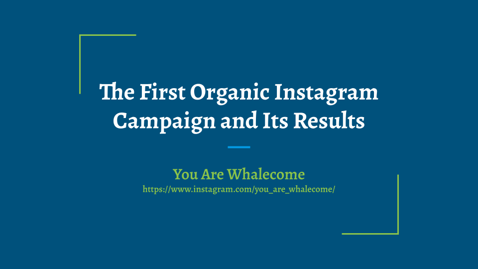 Chuning Li’s Intro to Digital Marketing Portfolio Project